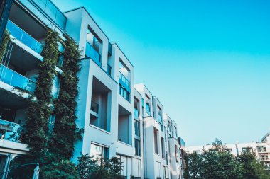 Arka planda ağaçlar olan güzel evler.