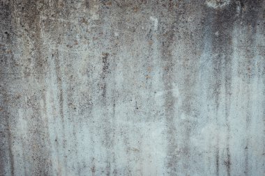 Karanlık gölgeli ormanda bir patika