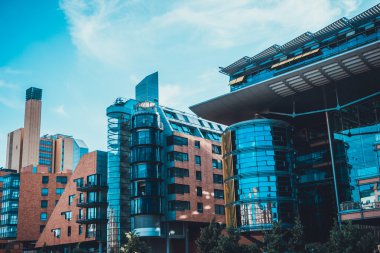 Karanlık gölgeli ormanda bir patika