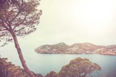 Karanlık gölgeli ormanda bir patika