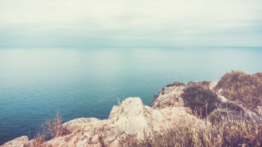 Karanlık gölgeli ormanda bir patika