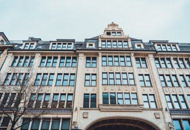 Büyük eski kentsel yapı ağacı ön planda