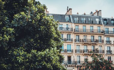 Apartmanın parçası kapsayan büyük ağaç