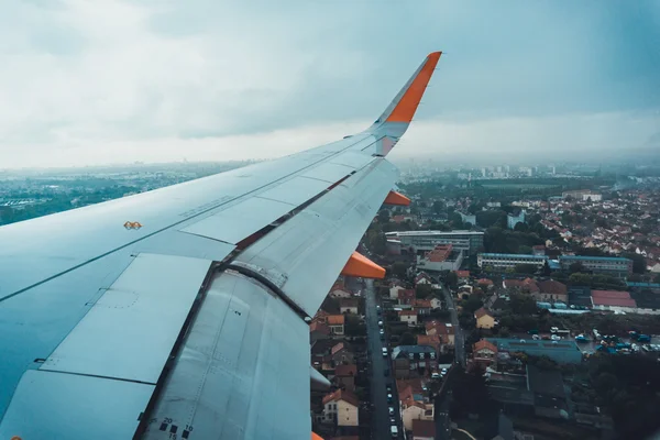 Karanlık Gölgeli Ormanda Bir Patika — Stok fotoğraf