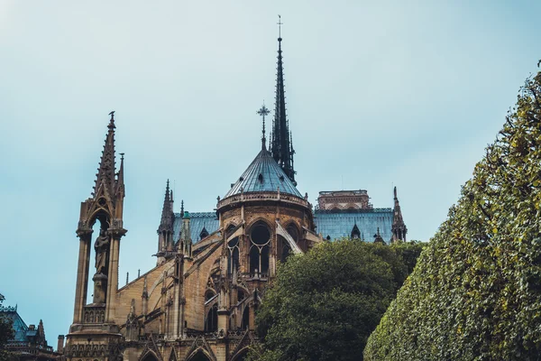 Elegante iglesia gótica con árbol cuidado —  Fotos de Stock