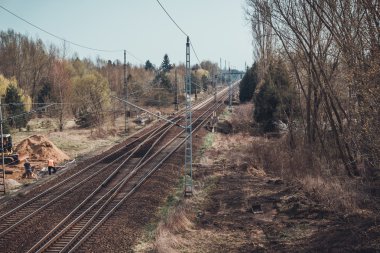 Karanlık gölgeli ormanda bir patika