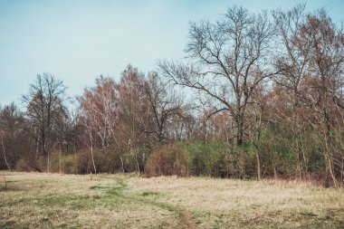 Otlak kıvrımlı patika