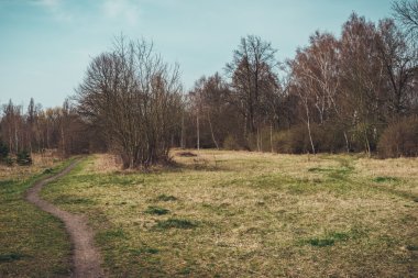 Issız yol otlak sarma