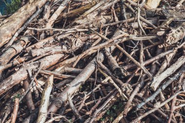 Arka plan doku dalları arapsaçı