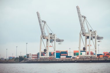 Karanlık gölgeli ormanda bir patika