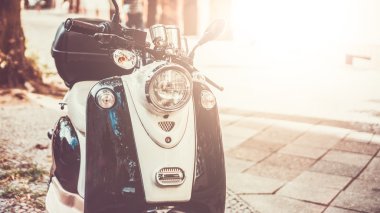 Karanlık gölgeli ormanda bir patika