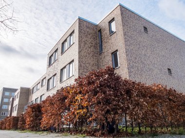 Modern apartmanın çevresinde sonbahar Hedges