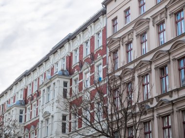 Çıplak ağaçlar ile kentsel yüksek binaların