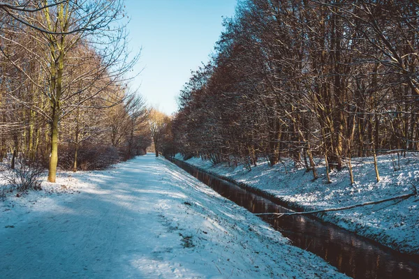 Winter scene of a canal running through woodland — Stock Photo, Image