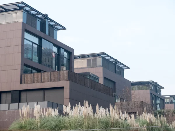 Arka Bahçeli Modern Modüler Evlerin Mimari Dış Detayları ve Bulanık Günü 'nde Lush Bitkisi Bitkileriyle çevrili