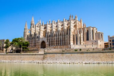 La Seu 'nun, Palma Katedrali' nin, Mallorca 'nın, İspanya' nın güneşli mavi gökyüzünün ön planında suyla birlikte dış görünüşü.