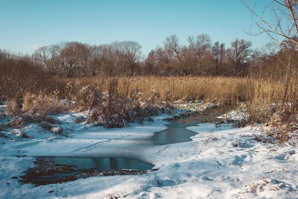 Derretendo gelo e neve na lagoa de grama — Fotografia de Stock