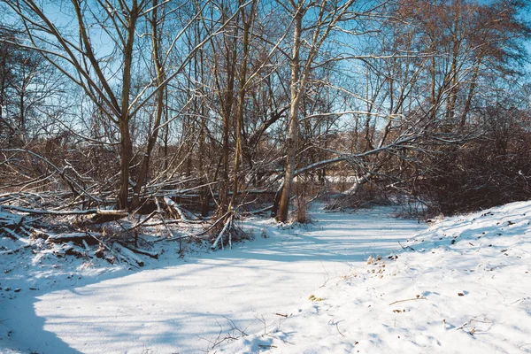 Río cubierto de nieve en el bosque en el soleado día de invierno — Foto de Stock