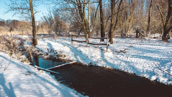 Fence and River in Snowy Forest on Sunny Day