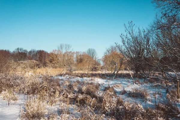 Cerca e campo coberto no dia de inverno ensolarado — Fotografia de Stock