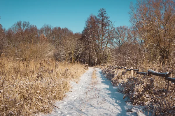 素朴なフェンスと雪に覆われた山道の森 — ストック写真