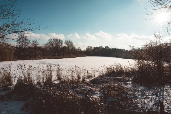 Nieve cubierto bosque lago bajo brillante sol — Foto de Stock