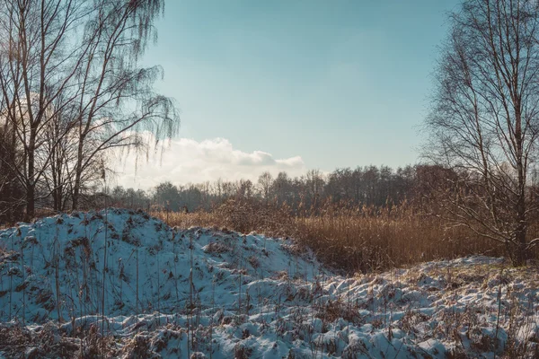 Snowy Terrain at Edge of Forest Lake on Sunny Day — Stock Photo, Image