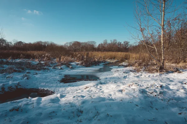 Topnienia lodu i śniegu na rzece w podmokłych lasów — Zdjęcie stockowe