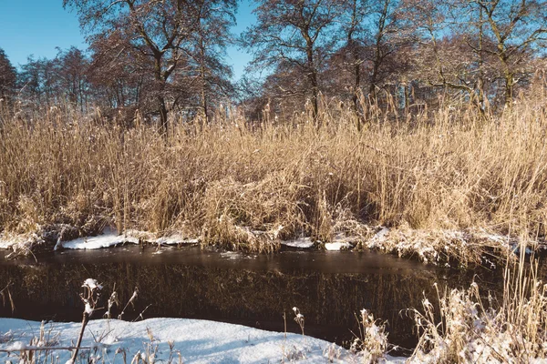 Agua Abierta en Humedales de Hierba en el Soleado Día de Invierno — Foto de Stock