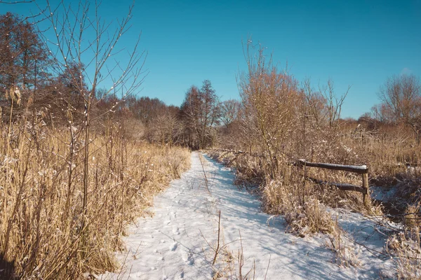 Snowy Path Through Field on Sunny Winter Day — Stock Photo, Image