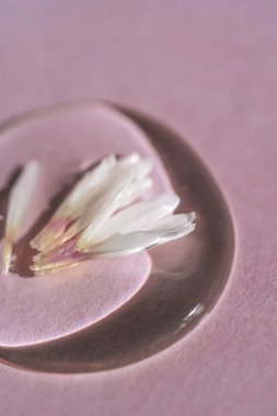 Bir damla şeffaf kozmetik jel ve eflatun arkaplanda ekinezi..