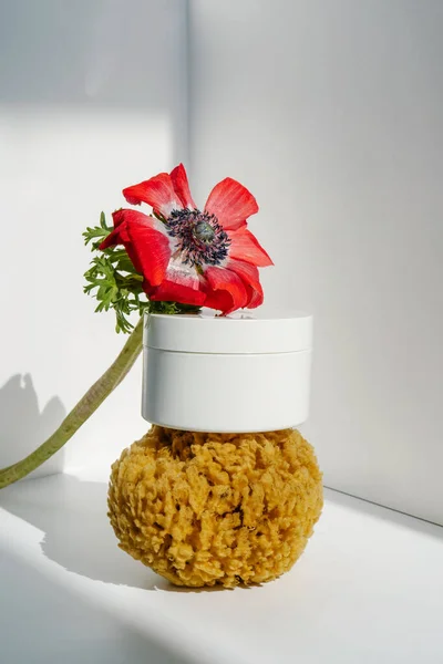 Açık arkaplanda krema ve doğal deniz süngeri..