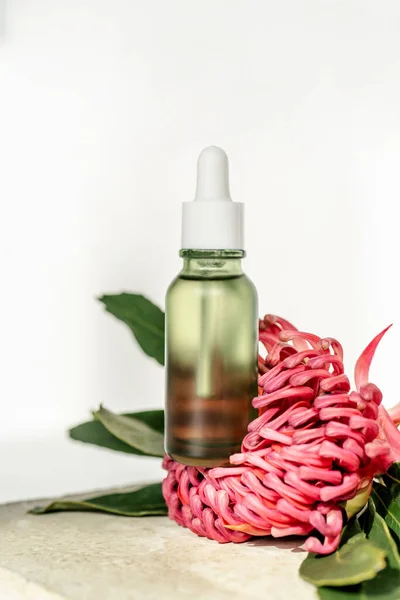 A green cosmetic bottle stands in a flower like on a catwalk. — Stock Photo, Image