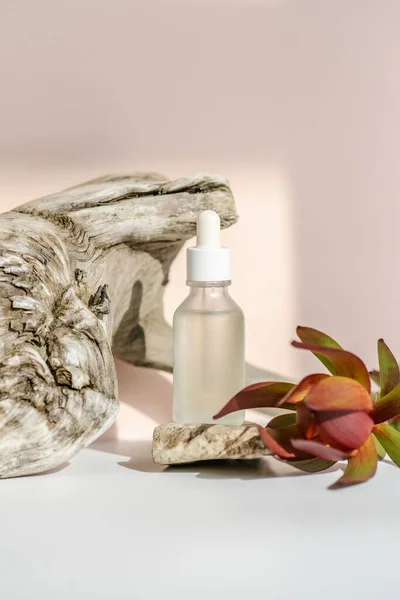 Serum ve çiçek bir odun parçasının üzerinde duruyor..