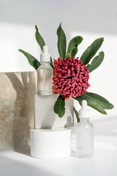 Serum ve çiçek standı kürsüde.