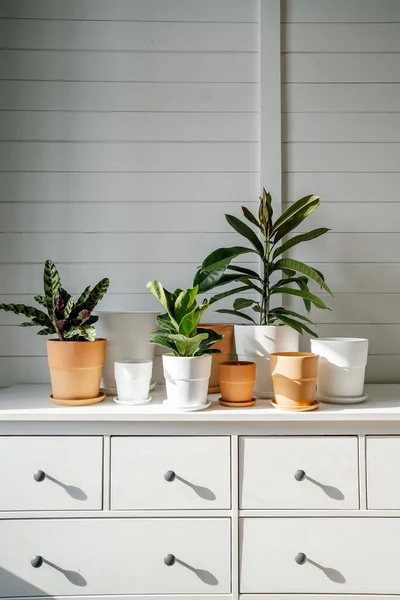 Lots of flower pots on the dresser. — Stock Photo, Image