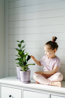 Kız şifoniyerin üzerinde iki saksının yanında oturuyor..