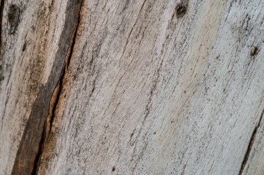 Eski bir kütüğün dokusuna sahip arkaplan.