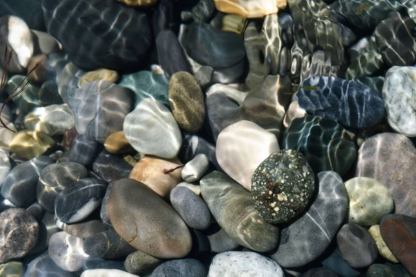 Saf deniz suyunun parlaklığı taşlarla.