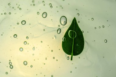 Bir kozmetik ürününün yeşil jel dokusu.