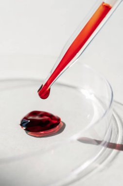 El, içinde kan olan bir test tüpü tutuyor..