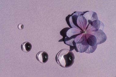 Mor arka planda çiçekli şeffaf kozmetik jel damlası..