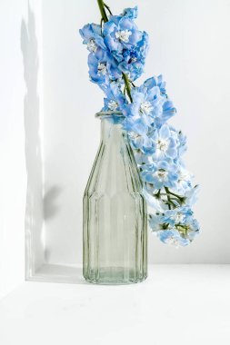 Cam bir vazo beyaz bir arkaplanda duruyor..