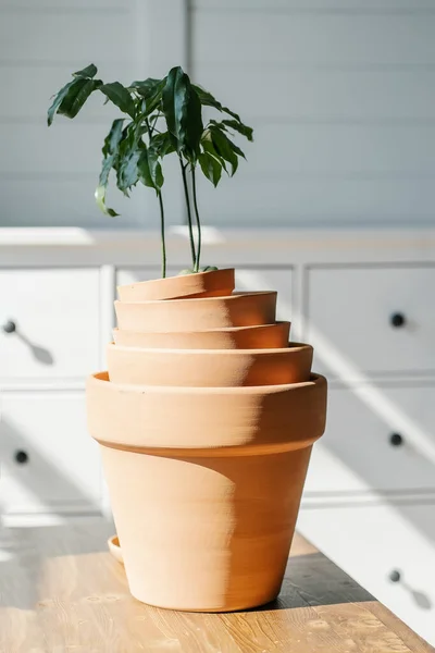 Una pila de macetas de terracota en el fondo del interior. — Foto de Stock