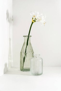 Beyaz arka planda duran iki cam vazo..