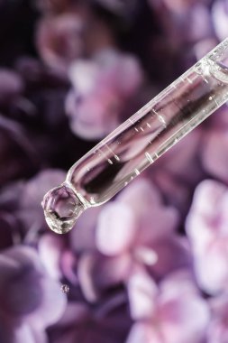 Mor çiçekli arka plandaki pipetten bir damla kozmetik yağı düşüyor..