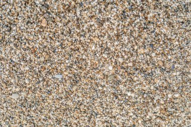 Yakınlardaki kaba kum dokusu. Makro.