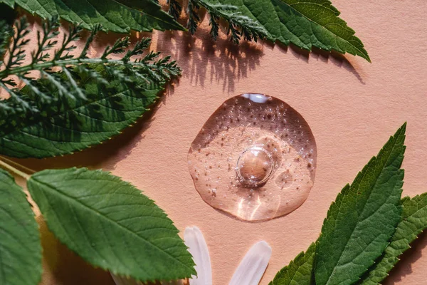 Una gota de gel cosmético sobre un fondo beige rodeado de plantas y hojas. — Foto de Stock