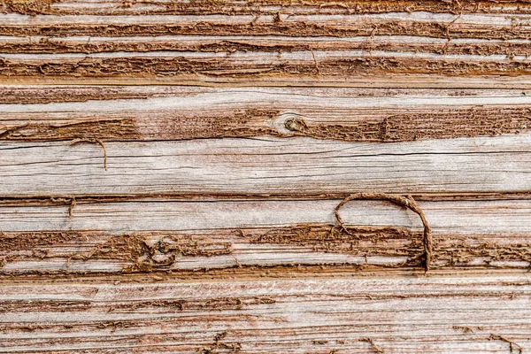 Природний фон з текстурою старого шерстяного дерева . — стокове фото