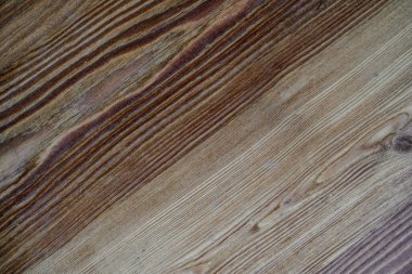 Eski püskü bir ağacın dokusuna sahip doğal bir arka plan..